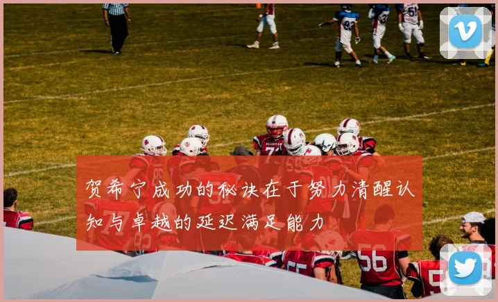 贺希宁成功的秘诀在于努力清醒认知与卓越的延迟满足能力
